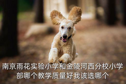 南京雨花實驗小學和金陵河西分校小學部哪個教學質量好我該選哪個