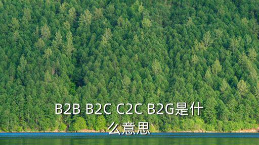 B2B B2C C2C B2G是什么意思