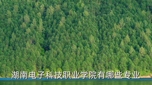 湖南電子科技職業技術學院，湖南理工職業技術學院和湖南電子科技職業學院哪個好 幫幫我