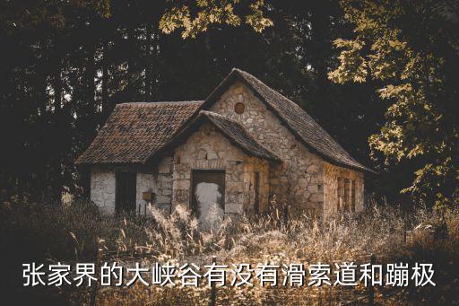張家界的大峽谷有沒有滑索道和蹦極