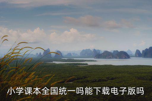 小學課本全國統一嗎能下載電子版嗎