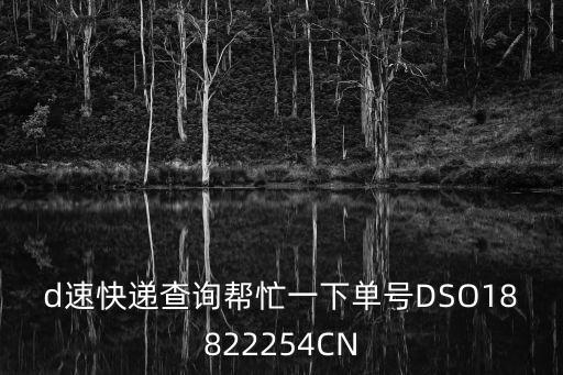 d速快遞查詢幫忙一下單號(hào)DSO18822254CN