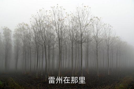 雷州在那里