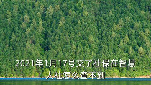 2021年1月17號交了社保在智慧人社怎么查不到