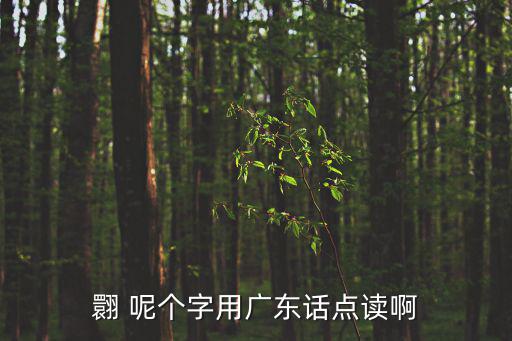 廣東紅盾網(wǎng)，廣東深圳的紅盾網(wǎng)網(wǎng)址是多少就是工商局可以查看公司注冊信息的網(wǎng)
