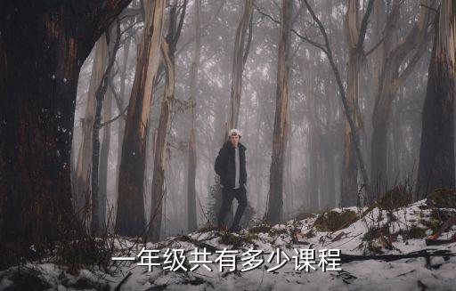 一年級共有多少課程