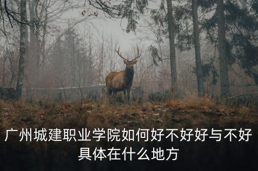 廣州城建職業(yè)學(xué)院如何好不好好與不好具體在什么地方