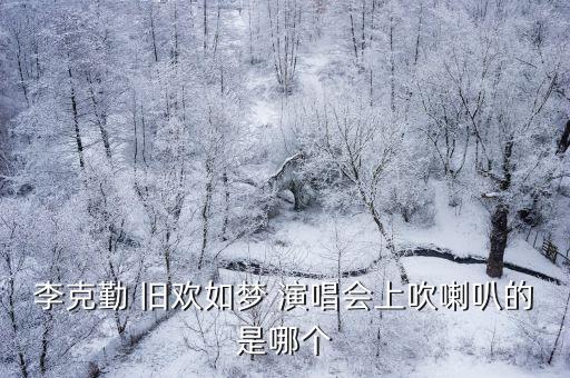 李克勤 舊歡如夢 演唱會上吹喇叭的是哪個