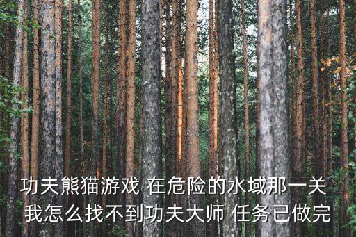 功夫熊貓游戲 在危險的水域那一關 我怎么找不到功夫大師 任務已做完