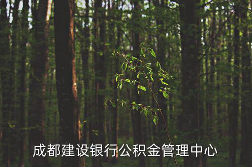 成都建設銀行公積金管理中心