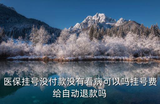 掛號費可以退嗎，醫保掛號沒付款沒有看病可以嗎掛號費給自動退款嗎