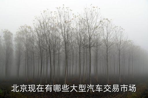 大型汽車，面包車屬不屬于大型汽車