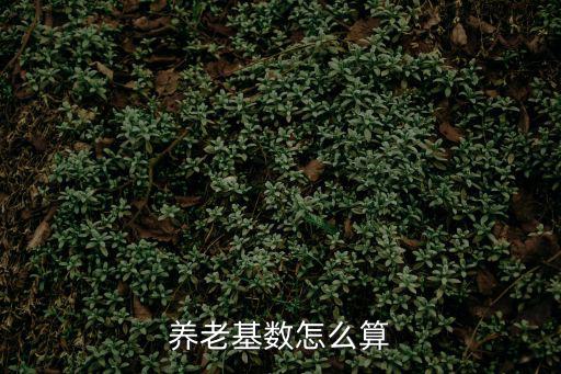養老基數怎么算