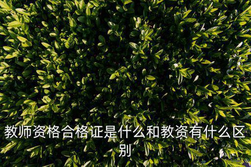 教師資格合格證是什么和教資有什么區別