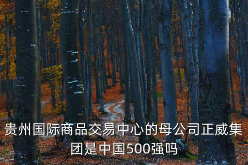 貴州國際商品交易中心的母公司正威集團是中國500強嗎
