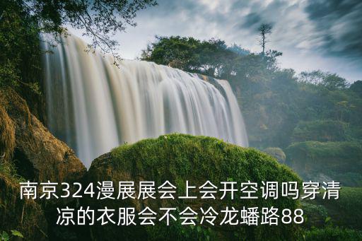 南京324漫展展會上會開空調嗎穿清涼的衣服會不會冷龍蟠路88