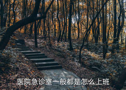 醫(yī)院急診室一般都是怎么上班