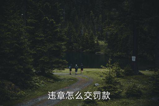 違章怎么交罰款