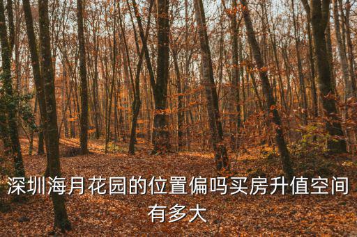 深圳海月花園的位置偏嗎買房升值空間有多大