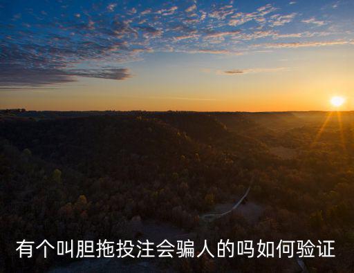 膽拖投注，什么是膽拖投注