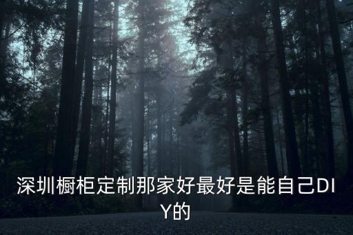 深圳廚柜，深圳櫥柜定制那家好最好是能自己DIY的