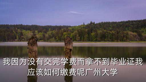 我因?yàn)闆]有交完學(xué)費(fèi)而拿不到畢業(yè)證我應(yīng)該如何繳費(fèi)呢廣州大學(xué)