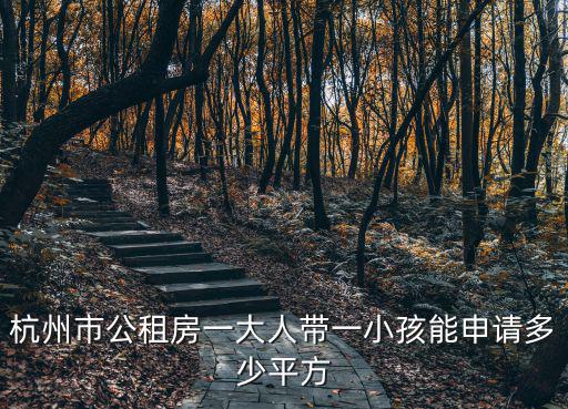 杭州市公租房一大人帶一小孩能申請多少平方