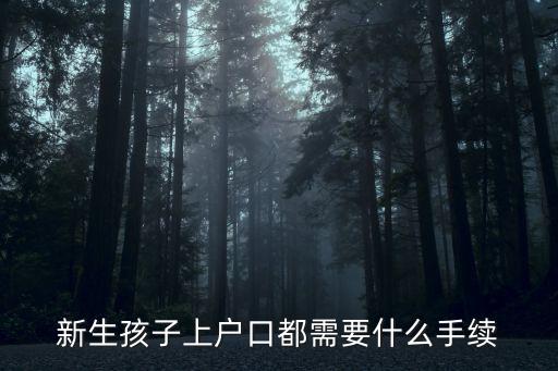 新生孩子上戶口都需要什么手續