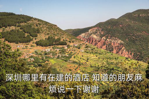 深圳哪里有在建的酒店 知道的朋友麻煩說一下謝謝