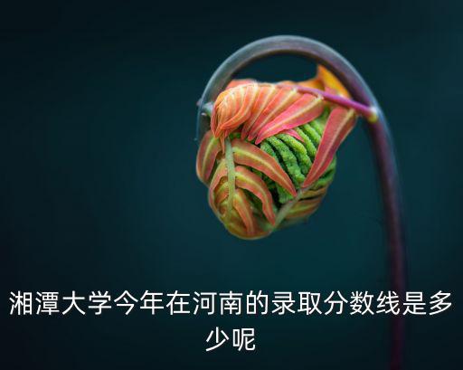湘潭大學今年在河南的錄取分數(shù)線是多少呢
