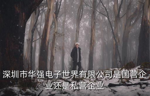 深圳市華強電子世界有限公司是國營企業還是私營企業
