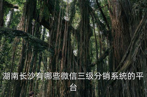 湖南長(zhǎng)沙有哪些微信三級(jí)分銷系統(tǒng)的平臺(tái)
