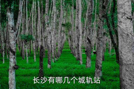長(zhǎng)沙有哪幾個(gè)城軌站
