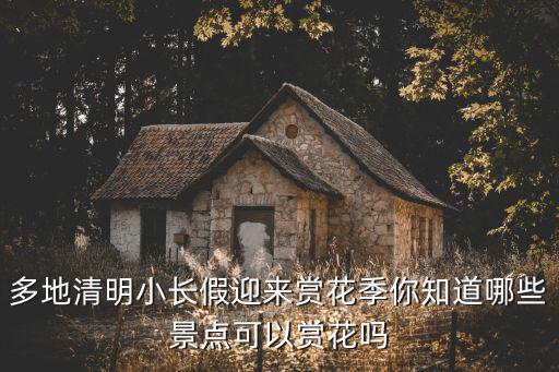 清明賞花，清明賞花去哪兒