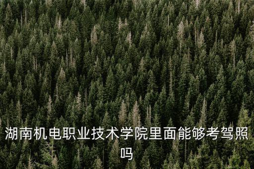 湖南機(jī)電職業(yè)技術(shù)學(xué)院，湖南機(jī)電職業(yè)技術(shù)學(xué)院的學(xué)校代碼是多少