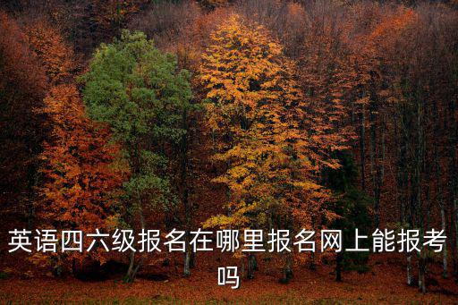 英語四六級報名在哪里報名網上能報考嗎