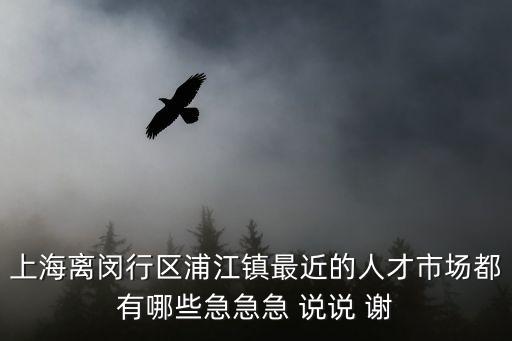 雙創(chuàng)人才，上海離閔行區(qū)浦江鎮(zhèn)最近的人才市場(chǎng)都有哪些急急急 說(shuō)說(shuō) 謝