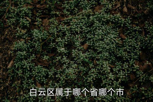 白云區(qū)屬于哪個(gè)省哪個(gè)市