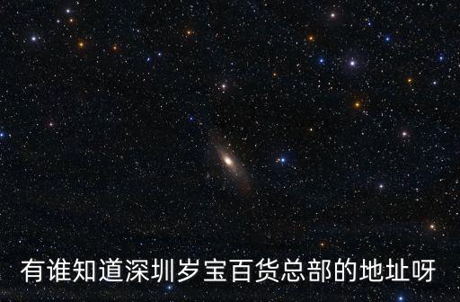 有誰知道深圳歲寶百貨總部的地址呀