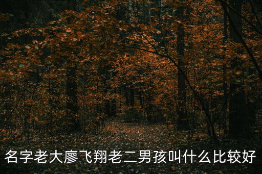 名字老大廖飛翔老二男孩叫什么比較好
