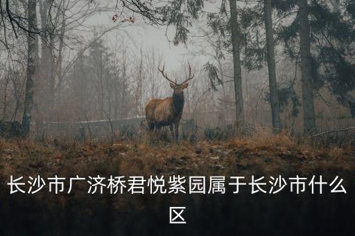 長沙市廣濟橋君悅紫園屬于長沙市什么區