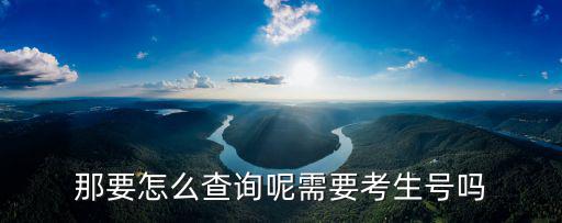 那要怎么查詢呢需要考生號嗎