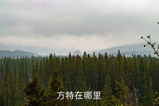 方特，方特是什么東西