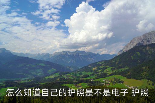 電子護照，現在辦理護照是不是都是電子護照