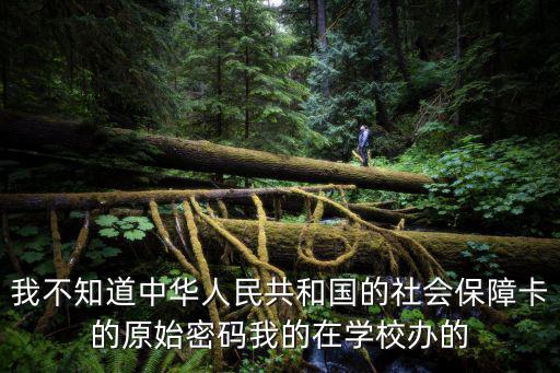 社?？ㄔ济艽a，農業銀行社會保障卡初始密碼是多少