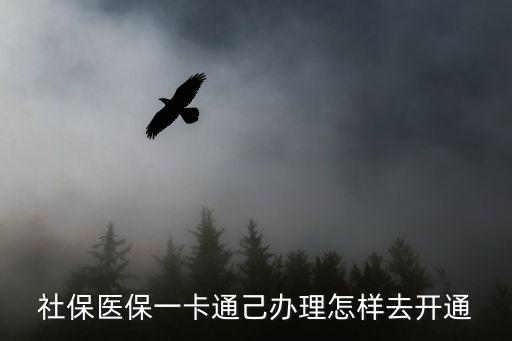 社保醫保一卡通己辦理怎樣去開通