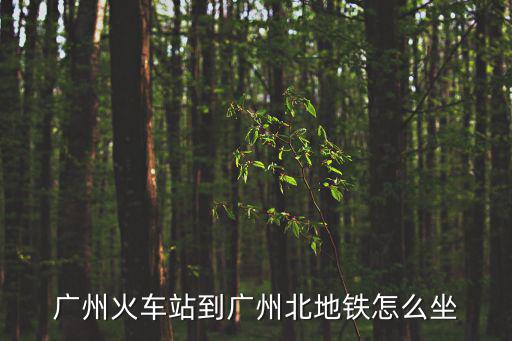 廣州火車站到廣州北地鐵怎么坐