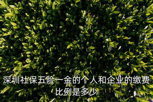 深圳社保五險一金的個人和企業的繳費比例是多少
