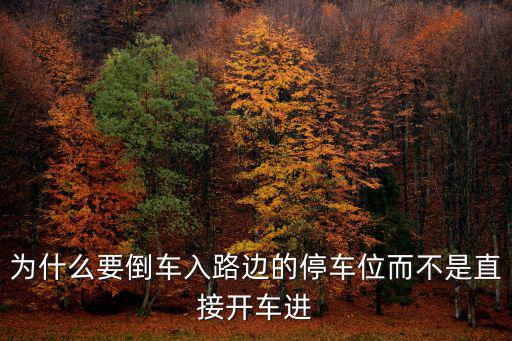 為什么要倒車入路邊的停車位而不是直接開車進