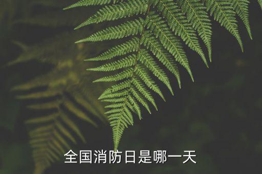 全國消防日是哪一天